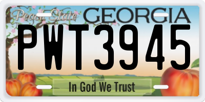 GA license plate PWT3945