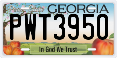GA license plate PWT3950
