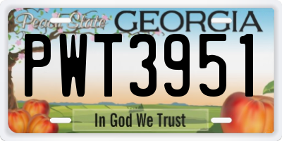 GA license plate PWT3951
