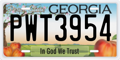 GA license plate PWT3954
