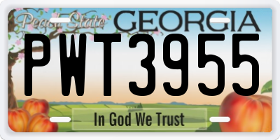 GA license plate PWT3955