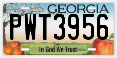 GA license plate PWT3956