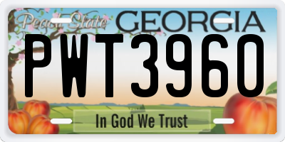 GA license plate PWT3960