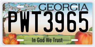 GA license plate PWT3965