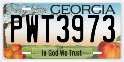 GA license plate PWT3973
