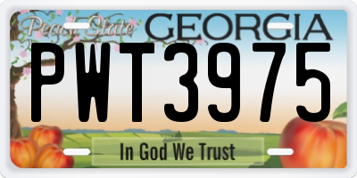 GA license plate PWT3975
