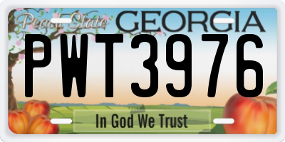 GA license plate PWT3976