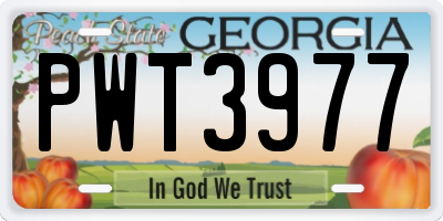 GA license plate PWT3977