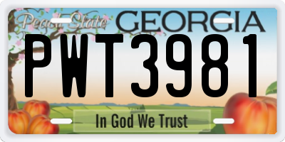 GA license plate PWT3981