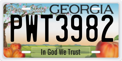 GA license plate PWT3982