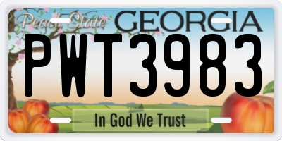 GA license plate PWT3983