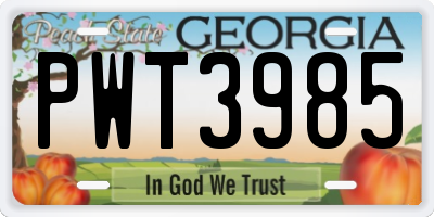 GA license plate PWT3985