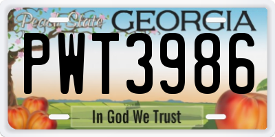GA license plate PWT3986