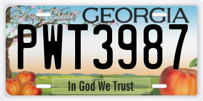 GA license plate PWT3987