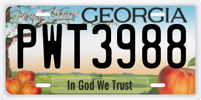 GA license plate PWT3988