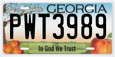 GA license plate PWT3989
