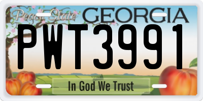 GA license plate PWT3991
