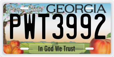 GA license plate PWT3992