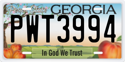 GA license plate PWT3994