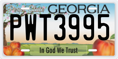 GA license plate PWT3995