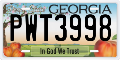 GA license plate PWT3998