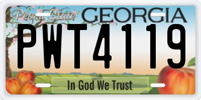 GA license plate PWT4119