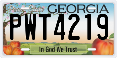 GA license plate PWT4219