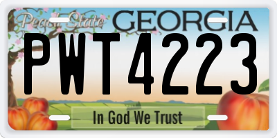 GA license plate PWT4223