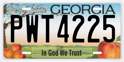 GA license plate PWT4225