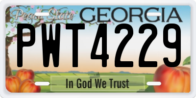 GA license plate PWT4229