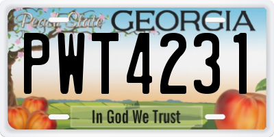 GA license plate PWT4231