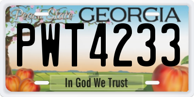 GA license plate PWT4233