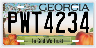 GA license plate PWT4234