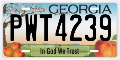 GA license plate PWT4239
