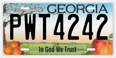 GA license plate PWT4242