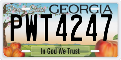 GA license plate PWT4247
