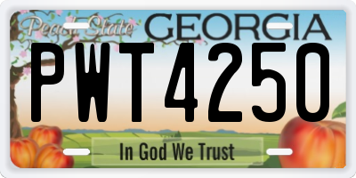 GA license plate PWT4250