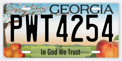 GA license plate PWT4254