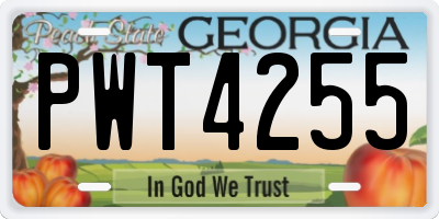 GA license plate PWT4255
