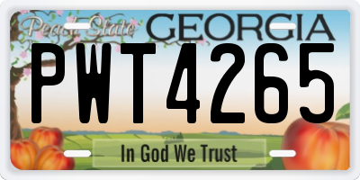 GA license plate PWT4265