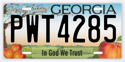 GA license plate PWT4285