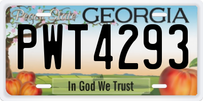GA license plate PWT4293