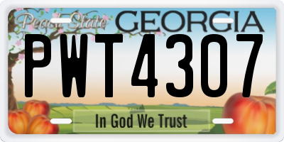GA license plate PWT4307