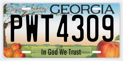 GA license plate PWT4309