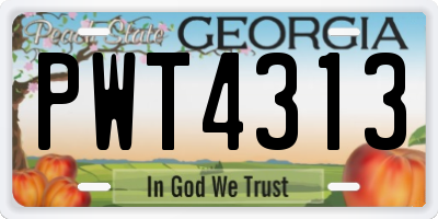 GA license plate PWT4313