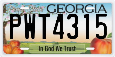 GA license plate PWT4315