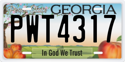 GA license plate PWT4317