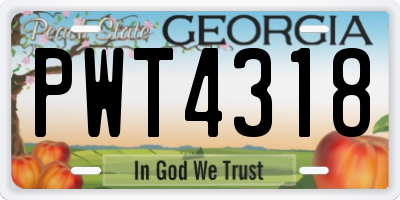 GA license plate PWT4318