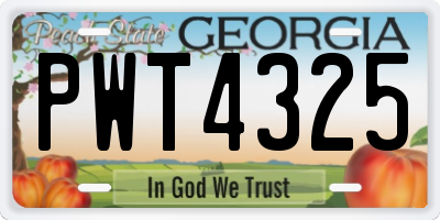 GA license plate PWT4325