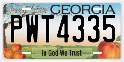 GA license plate PWT4335